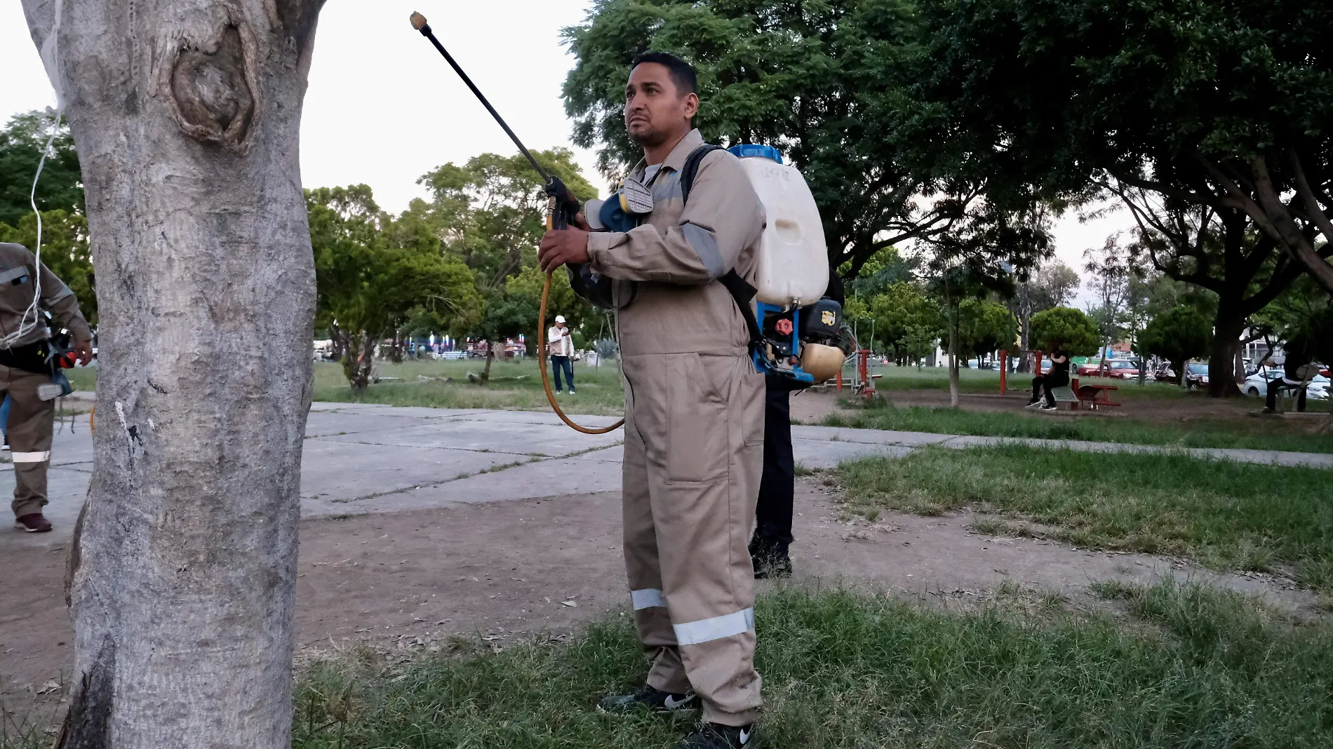 Dengue, Foto Salus Jalisco (3)